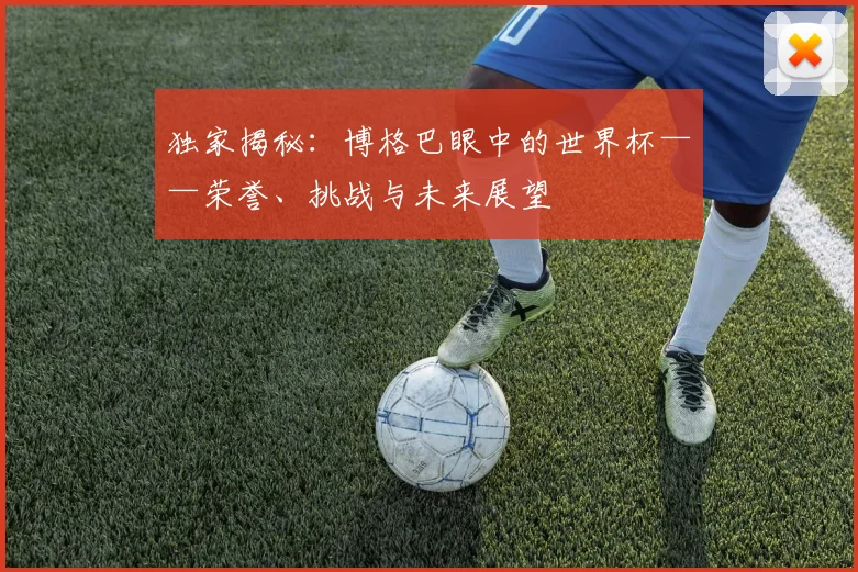 独家揭秘：博格巴眼中的世界杯——荣誉、挑战与未来展望